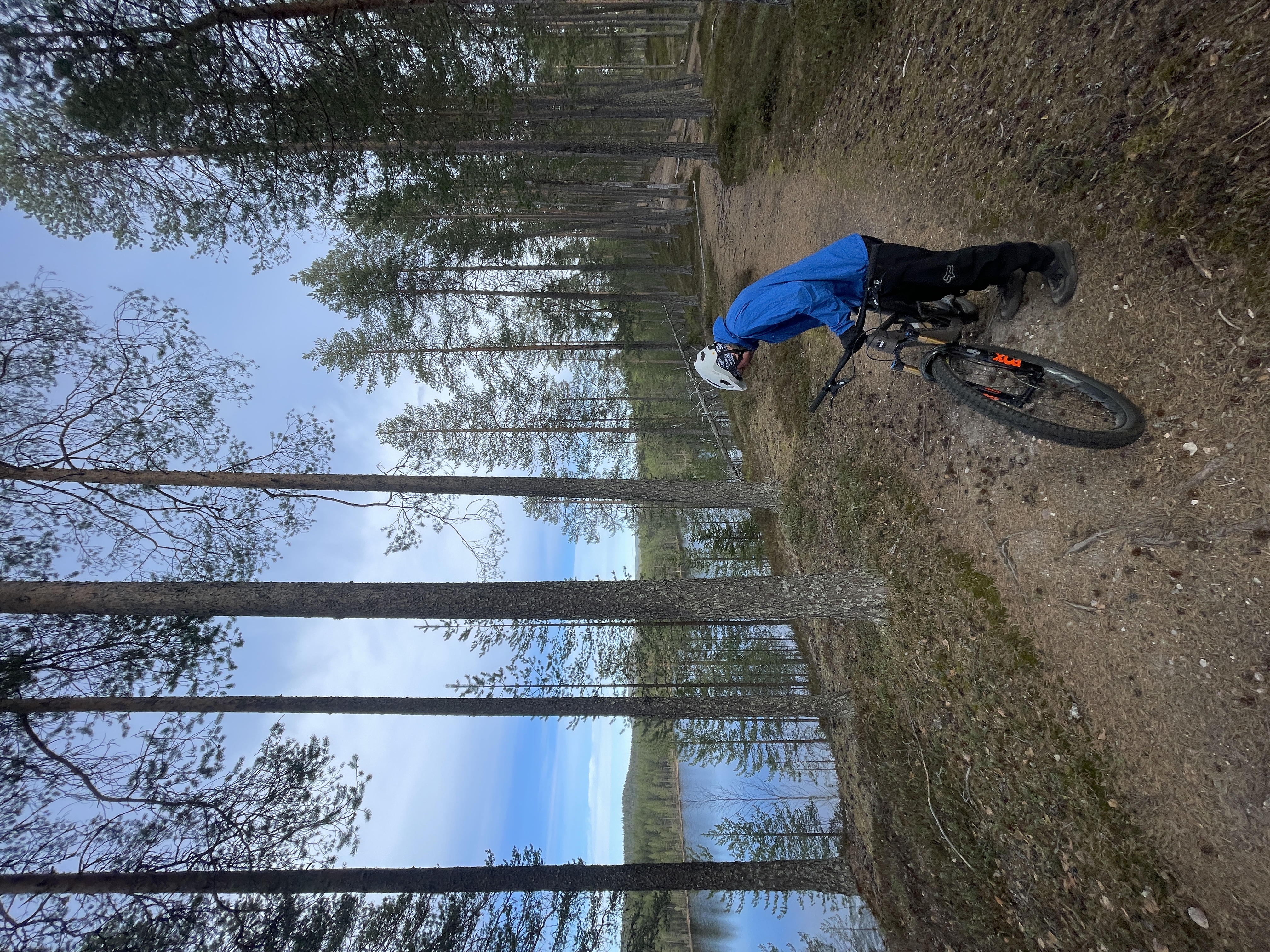 mtb polulla pytkynharjulla
