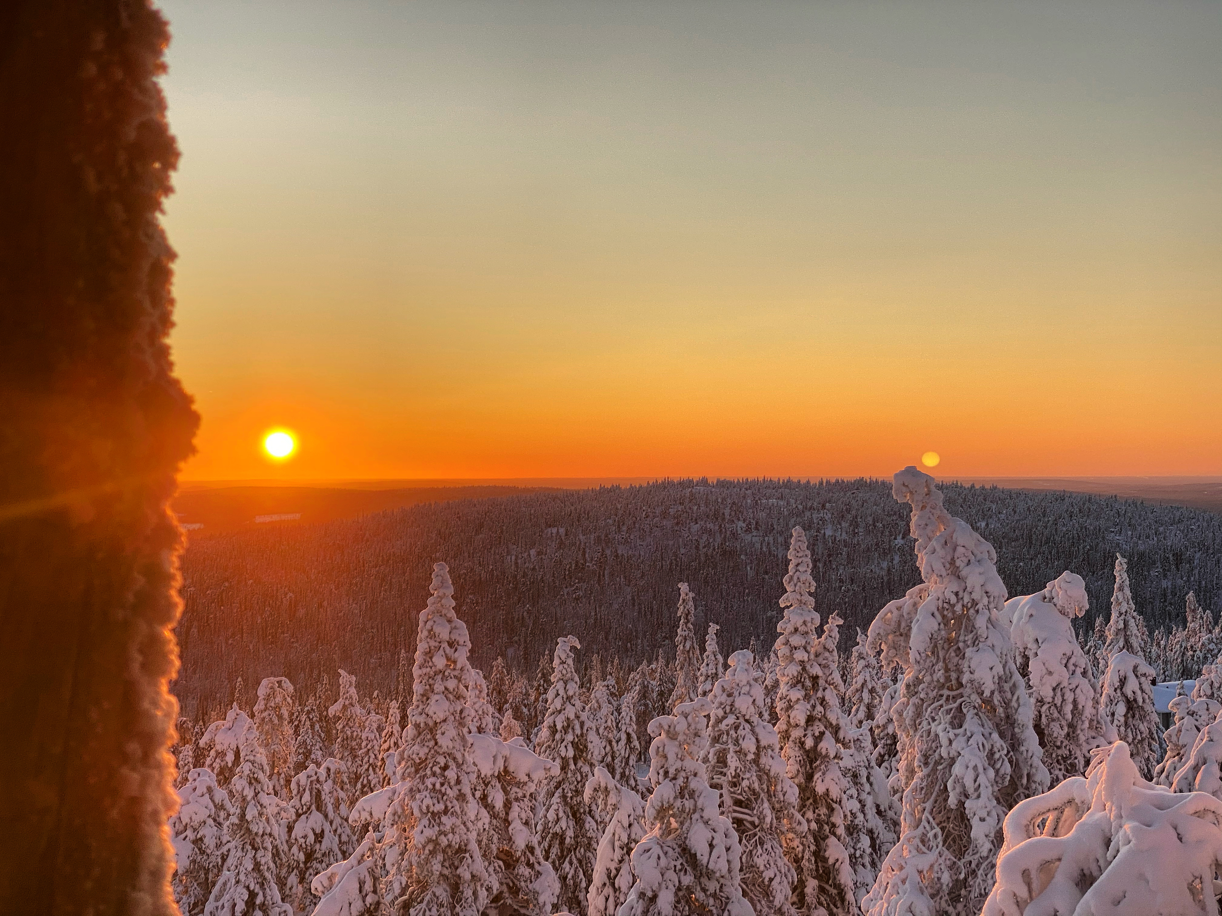 Joulukuun aurinko paistaa Iso-Syötteellä oranssina