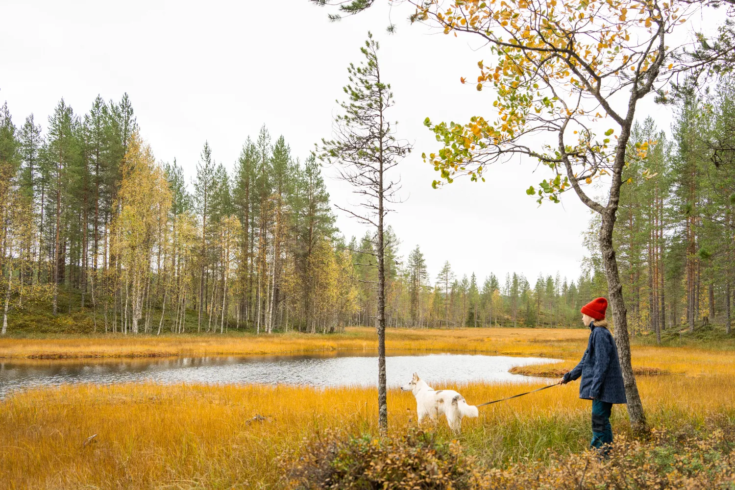 Tyttö suolla ruskan aikaan