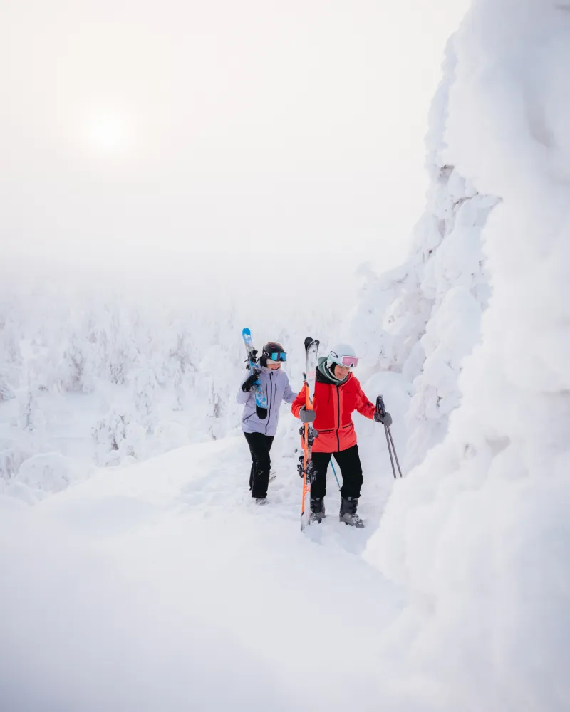 Kakasi laskettelijaa tykkypuiden lomassa
