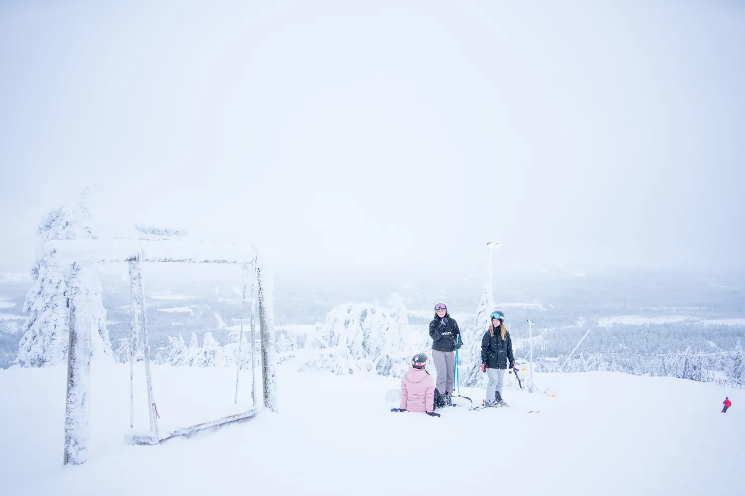 porukka keinulla laskettelemassa