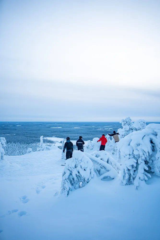 Laskijat tykkylumessa