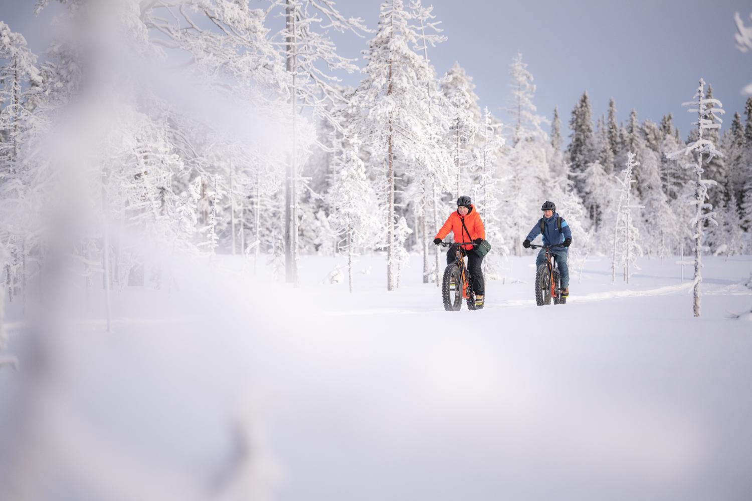 efatbike safari is a great way to enjoy the arctic nature