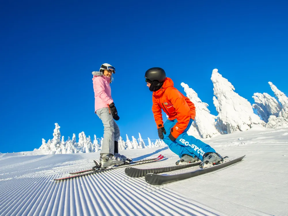 Private lesson - Ski