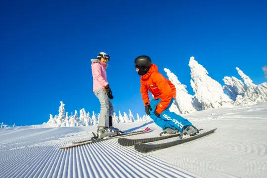 Private lesson - Ski