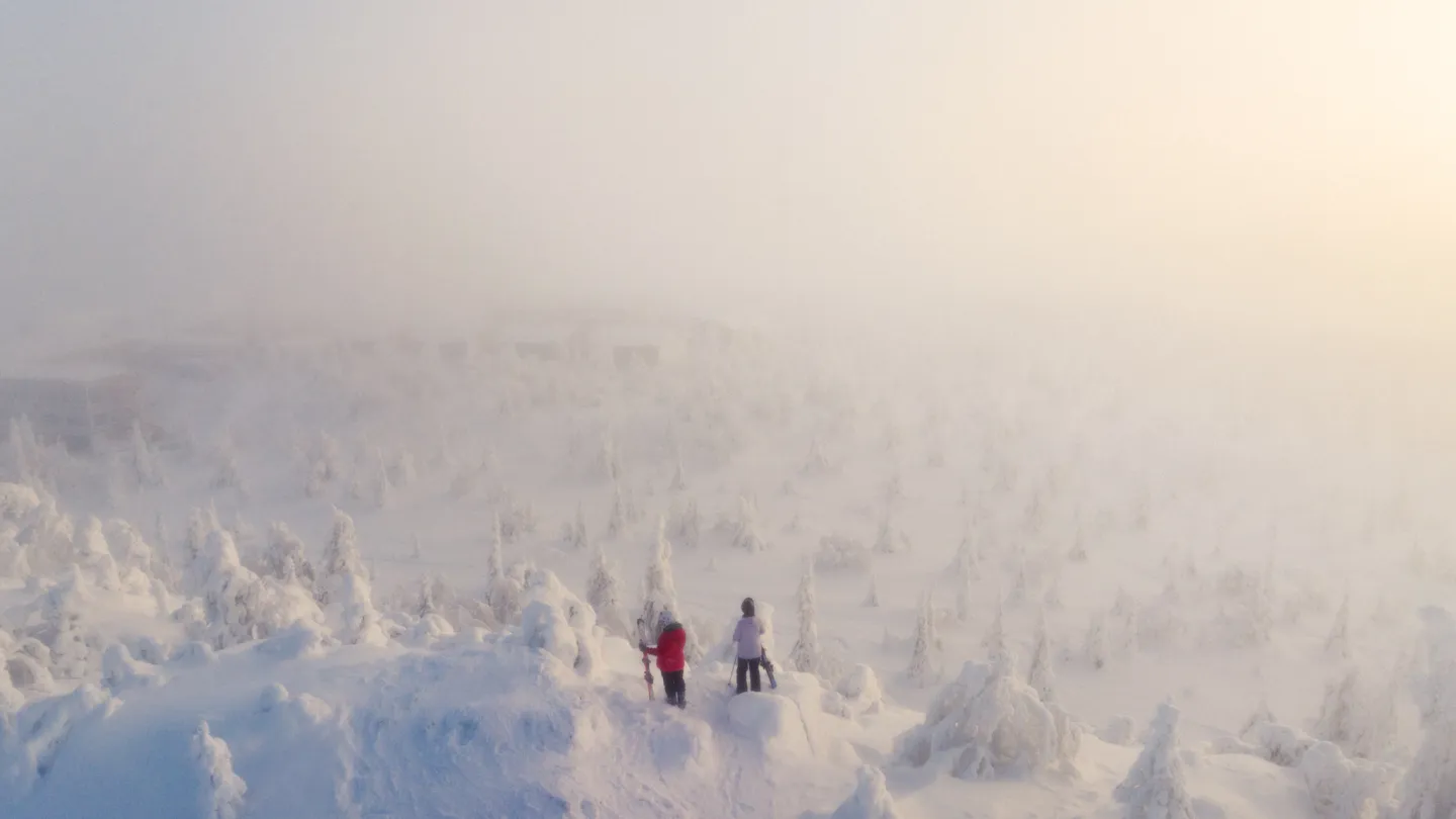 Kaksi laskee 1 maksaa