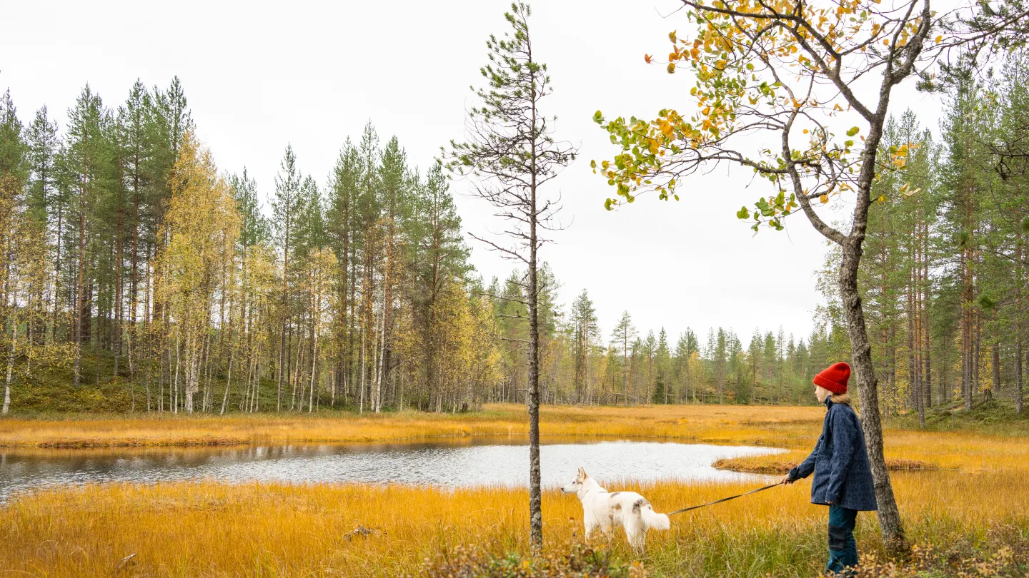 Tyttö suolla ruskan aikaan