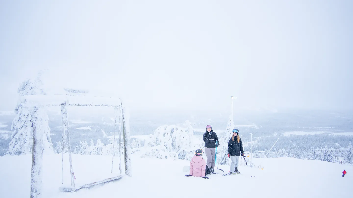 porukka keinulla laskettelemassa