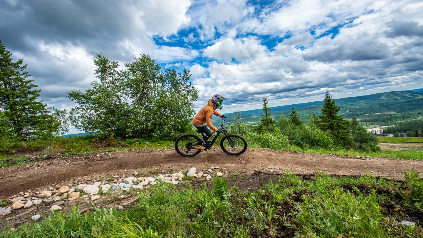 Bike Parkissa kesällä